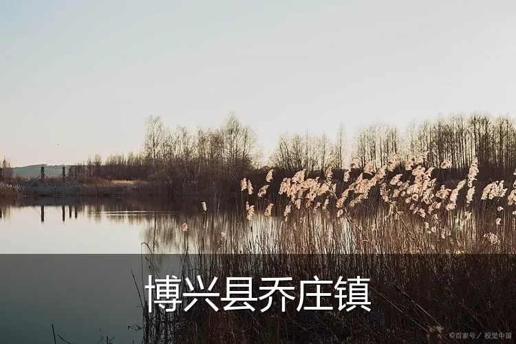 博兴县乔庄镇