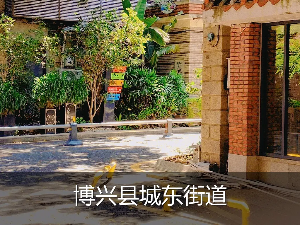 博兴县城东街道
