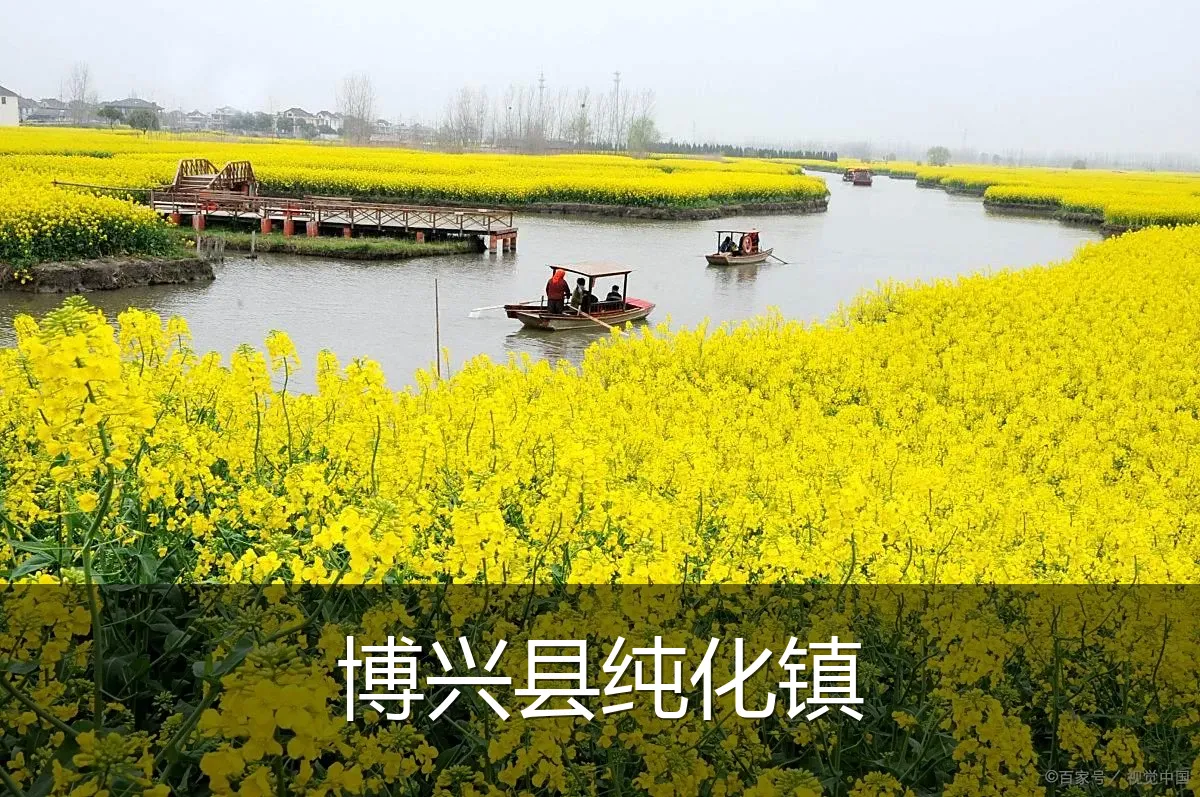 博兴县纯化镇