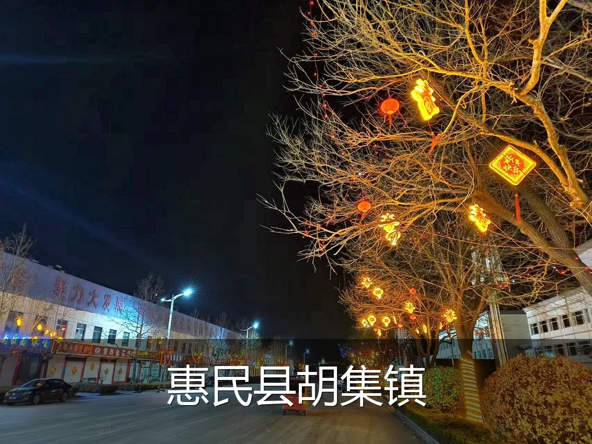 惠民县胡集镇