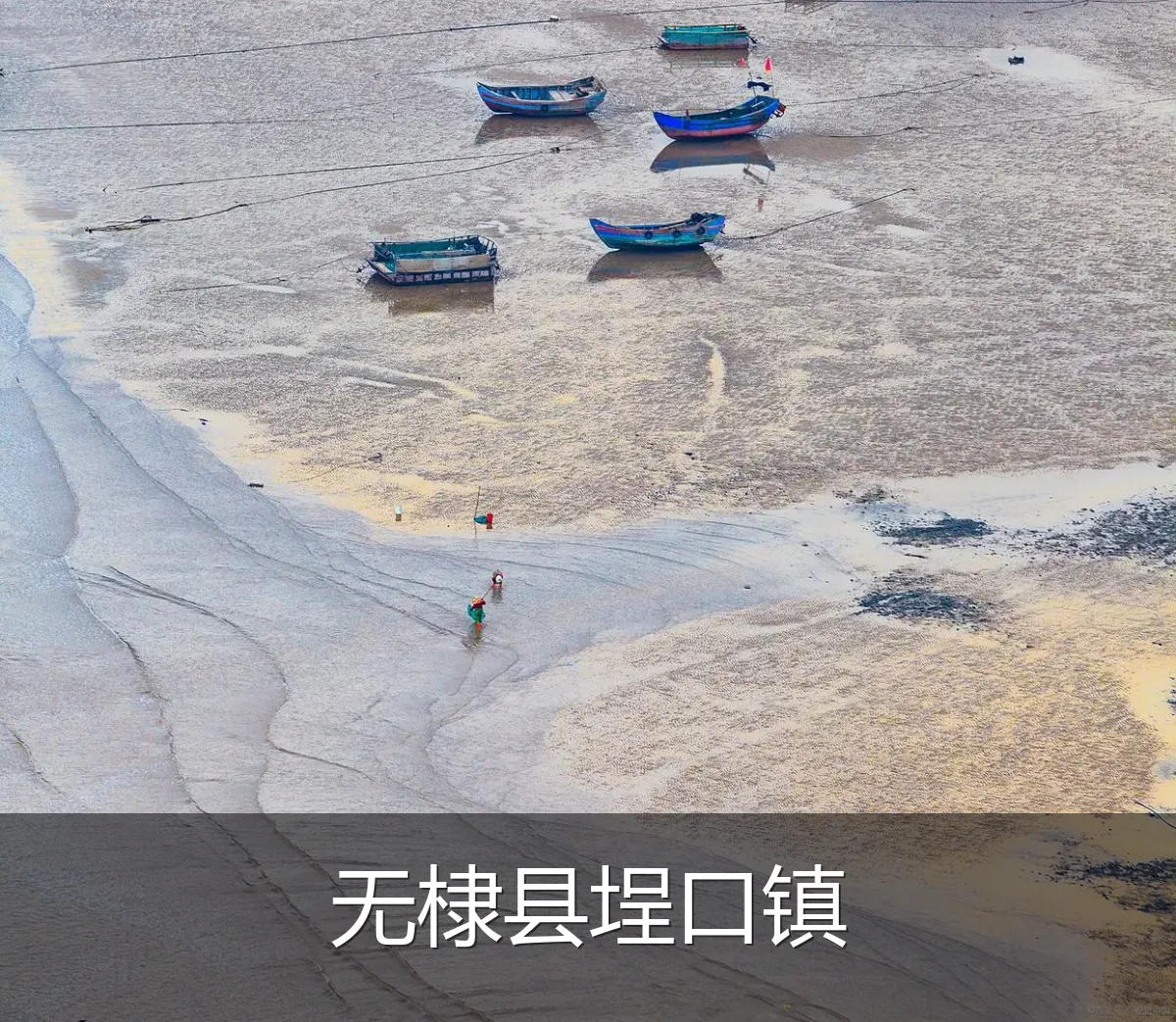 无棣县埕口镇