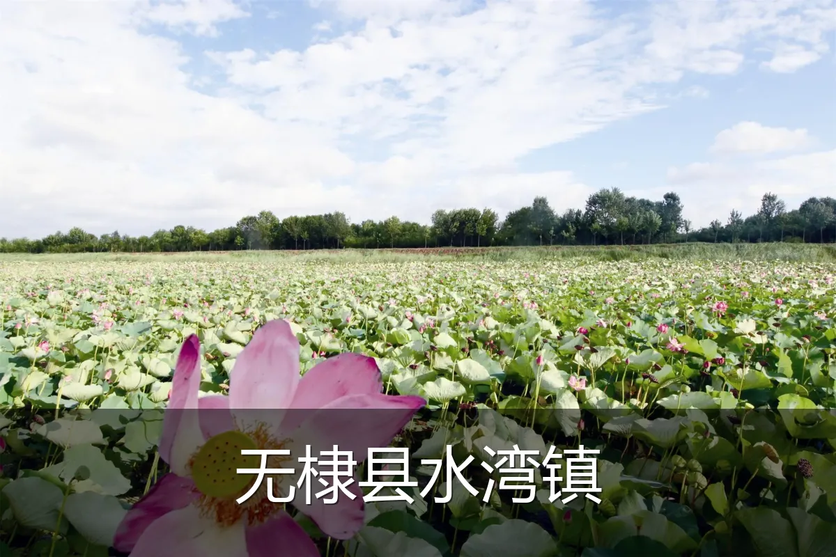 无棣县水湾镇