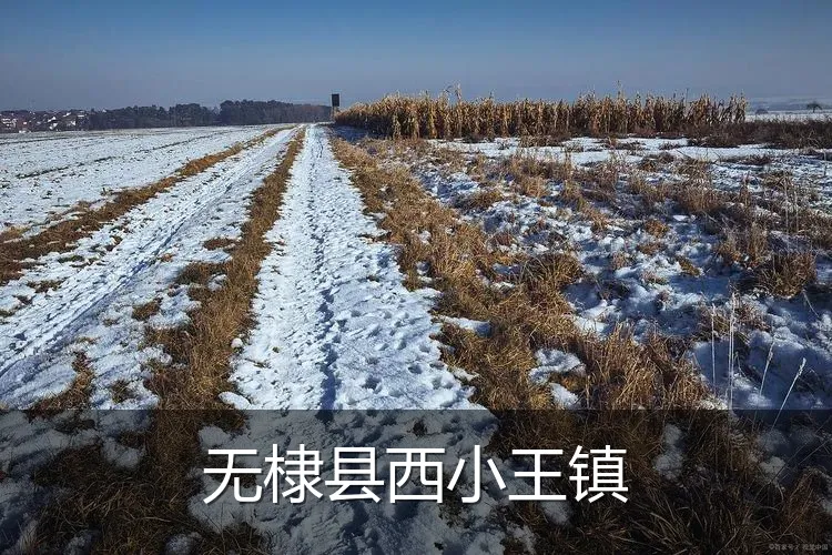 无棣县西小王镇