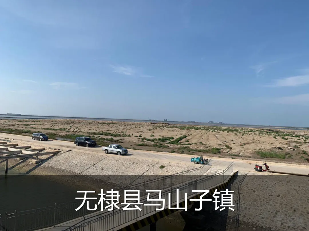 无棣县马山子镇