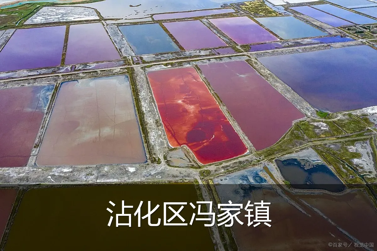 沾化区冯家镇