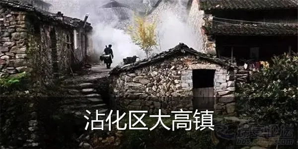 沾化区大高镇