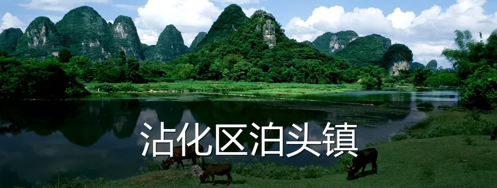 沾化区泊头镇