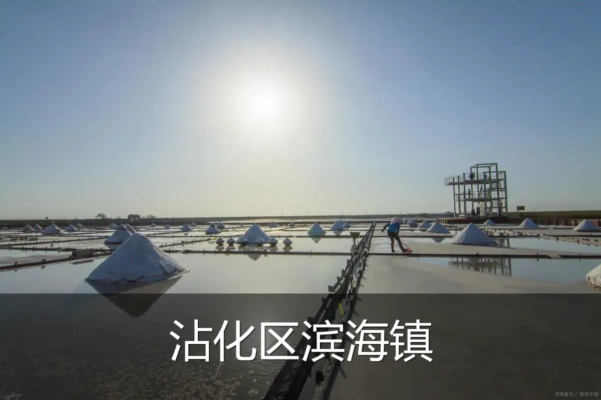 沾化区滨海镇