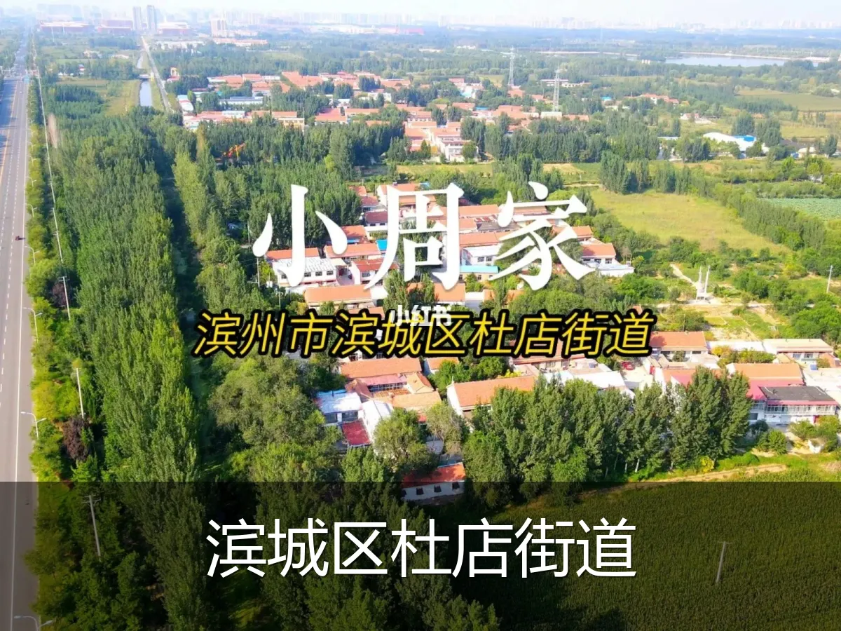 滨城区杜店街道