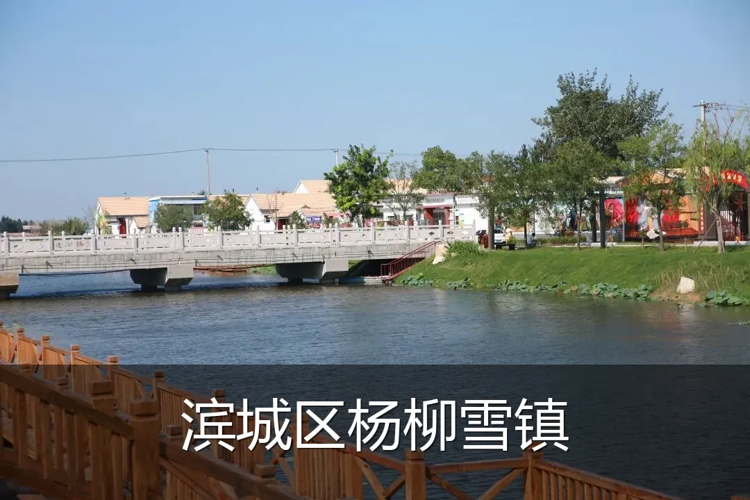 滨城区杨柳雪镇