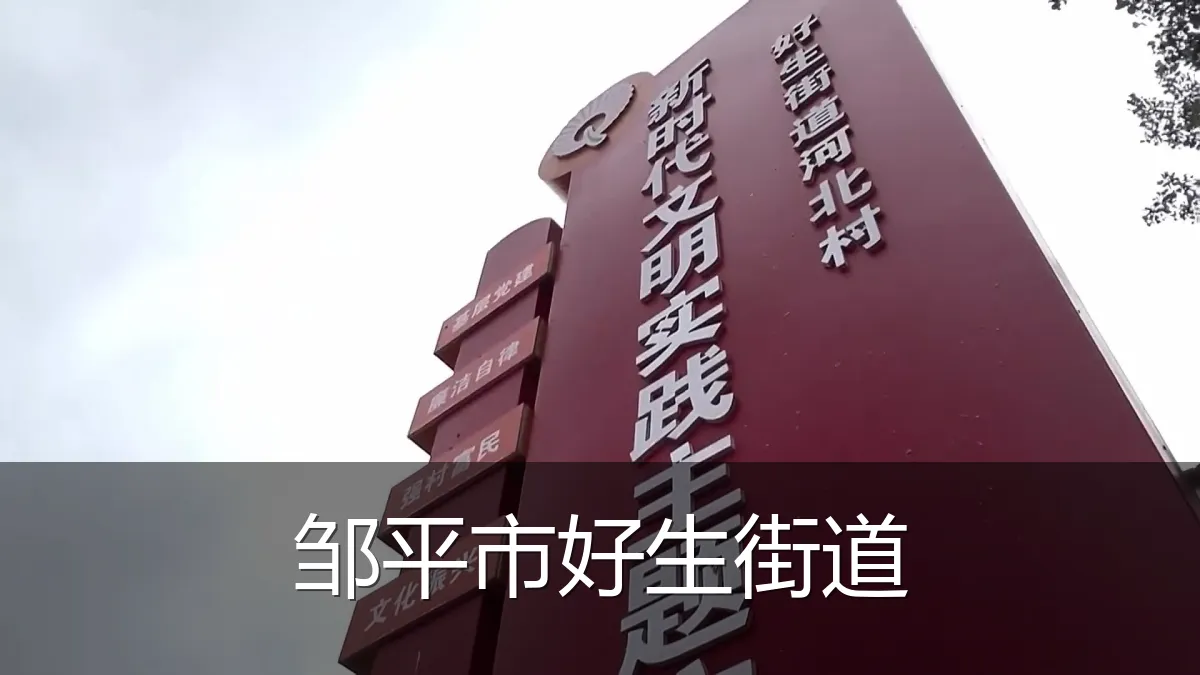 邹平市好生街道