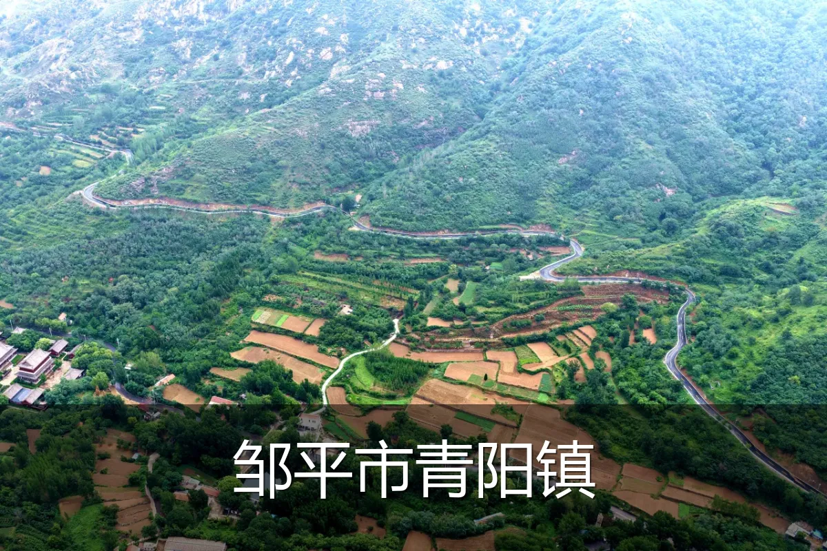 邹平市青阳镇