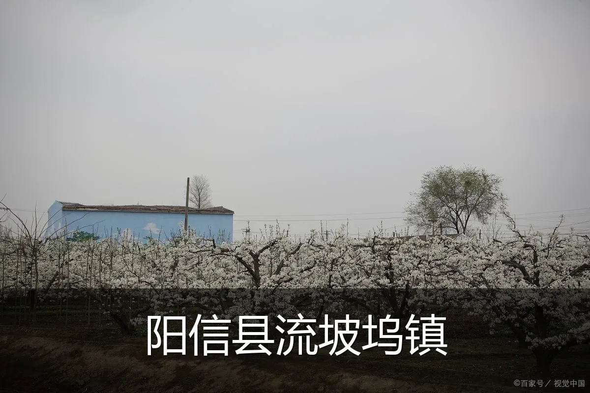 阳信县流坡坞镇