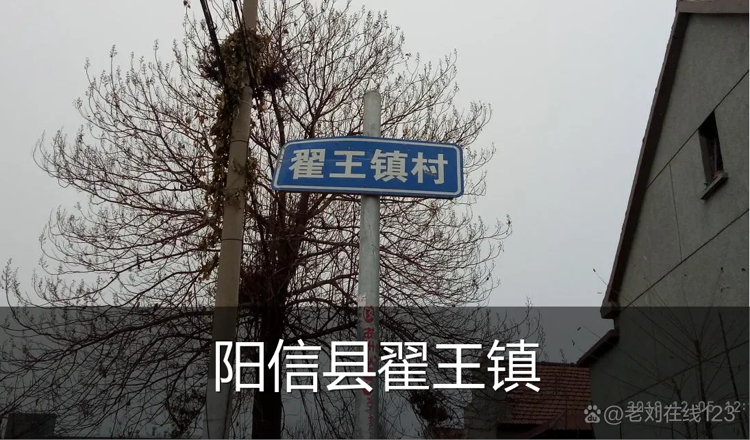 阳信县翟王镇