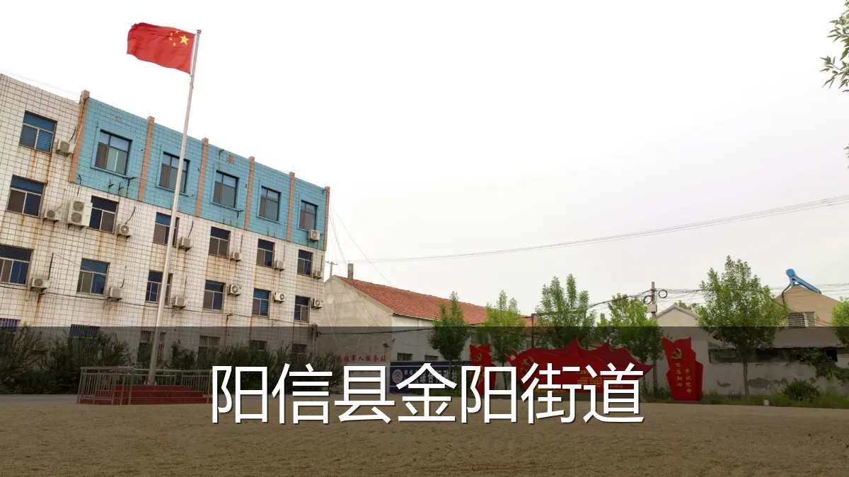 阳信县金阳街道