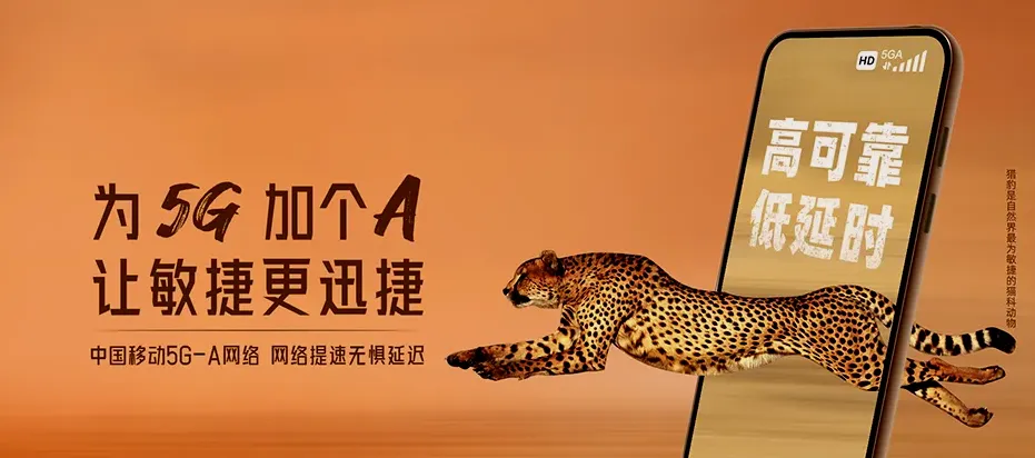 滨州沾化区大高镇 移动宽带
